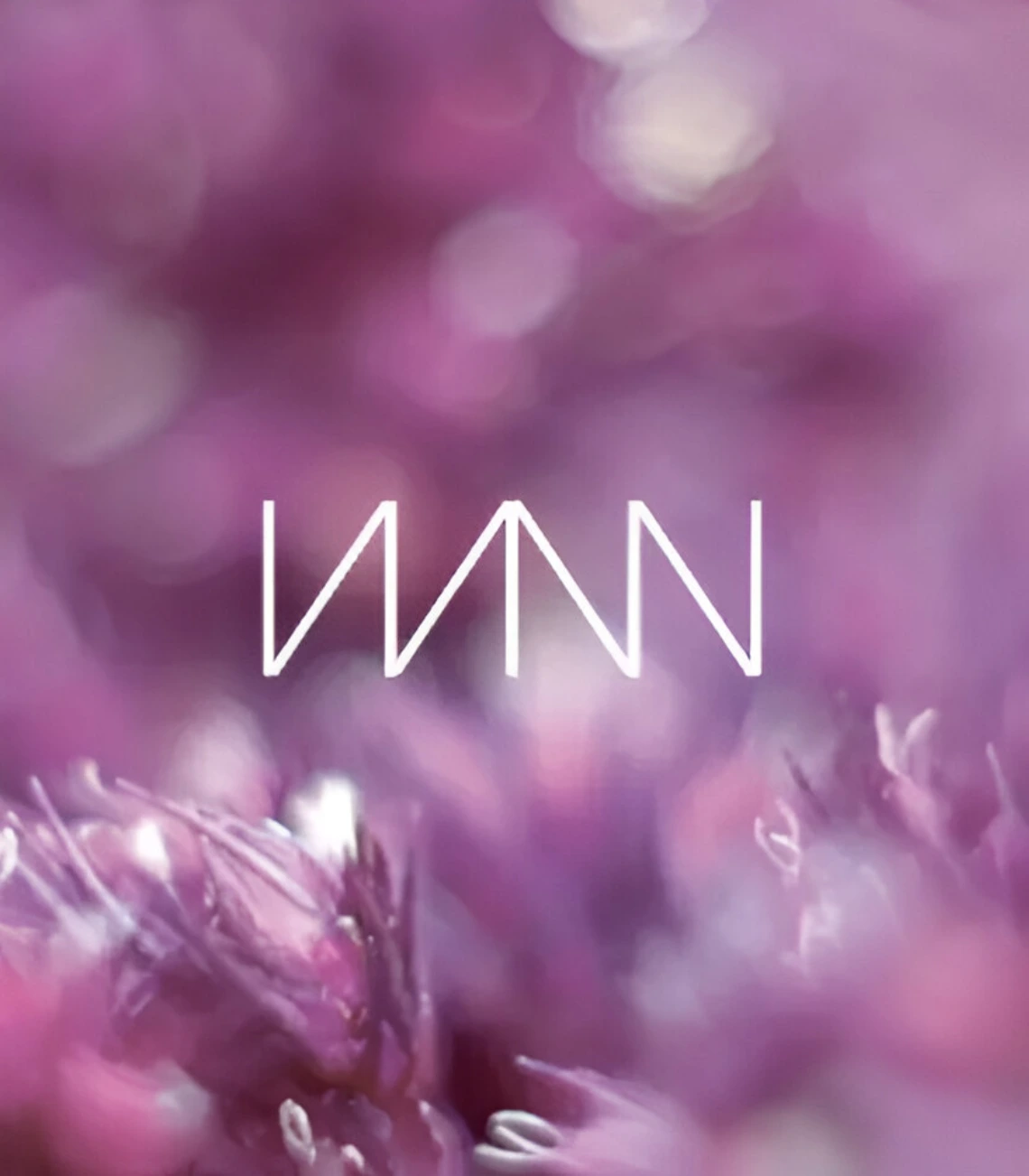 logovvnn.webp